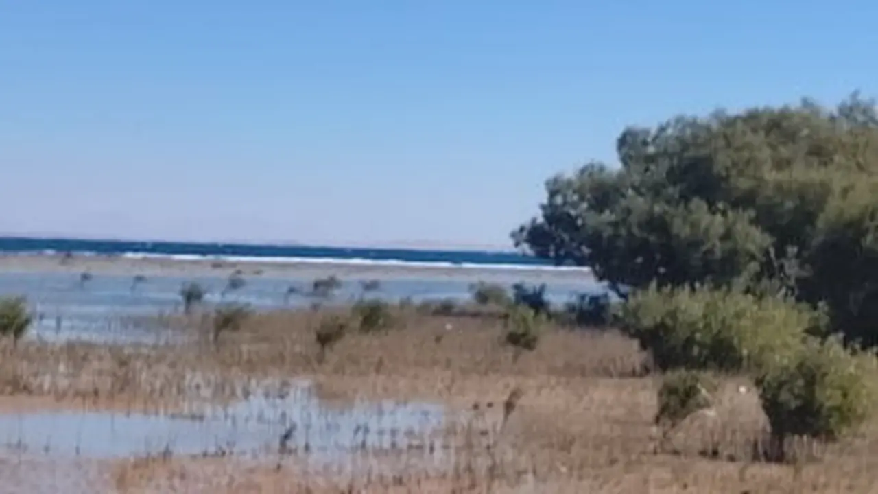 تحذير رسمي.. ارتفاع مفاجئ في درجات الحرارة بالقاهرة خلال 48 ساعة المقبلة